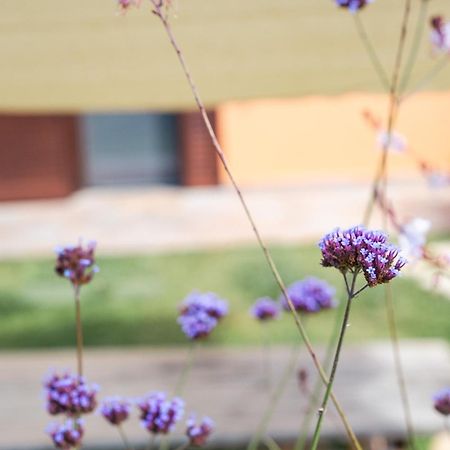 Agriturismo I Grappoli อัลเบเรเซ ภายนอก รูปภาพ