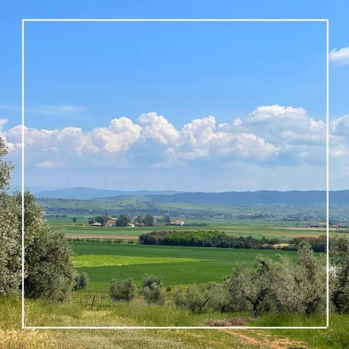 Agriturismo I Grappoli อัลเบเรเซ ภายนอก รูปภาพ