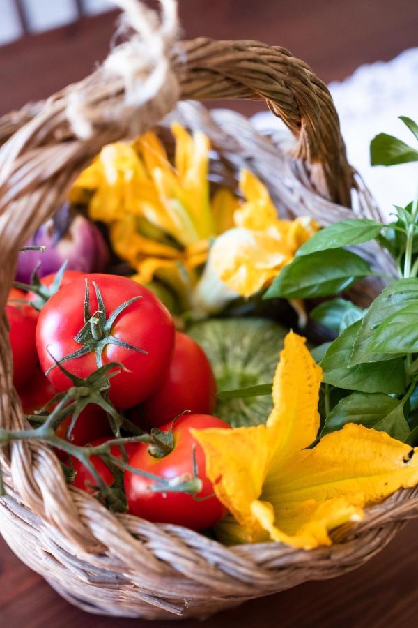 Agriturismo I Grappoli อัลเบเรเซ ภายนอก รูปภาพ